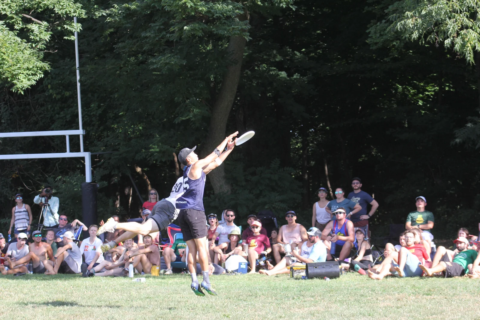 Philadelphia Area Disc Alliance hero image