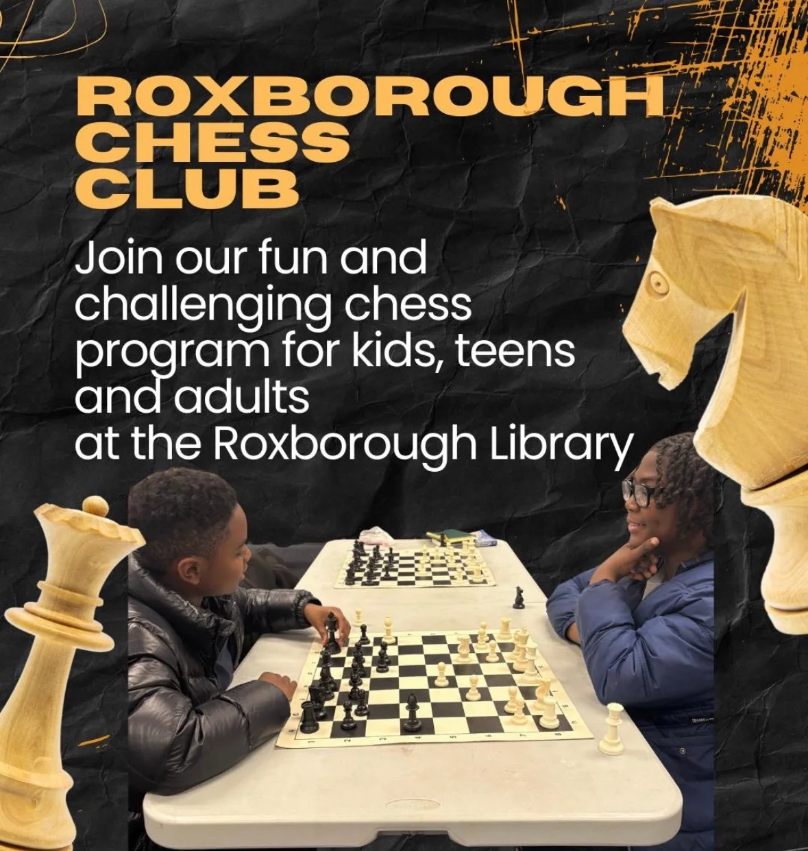 Roxborough Library Chess Club hero image