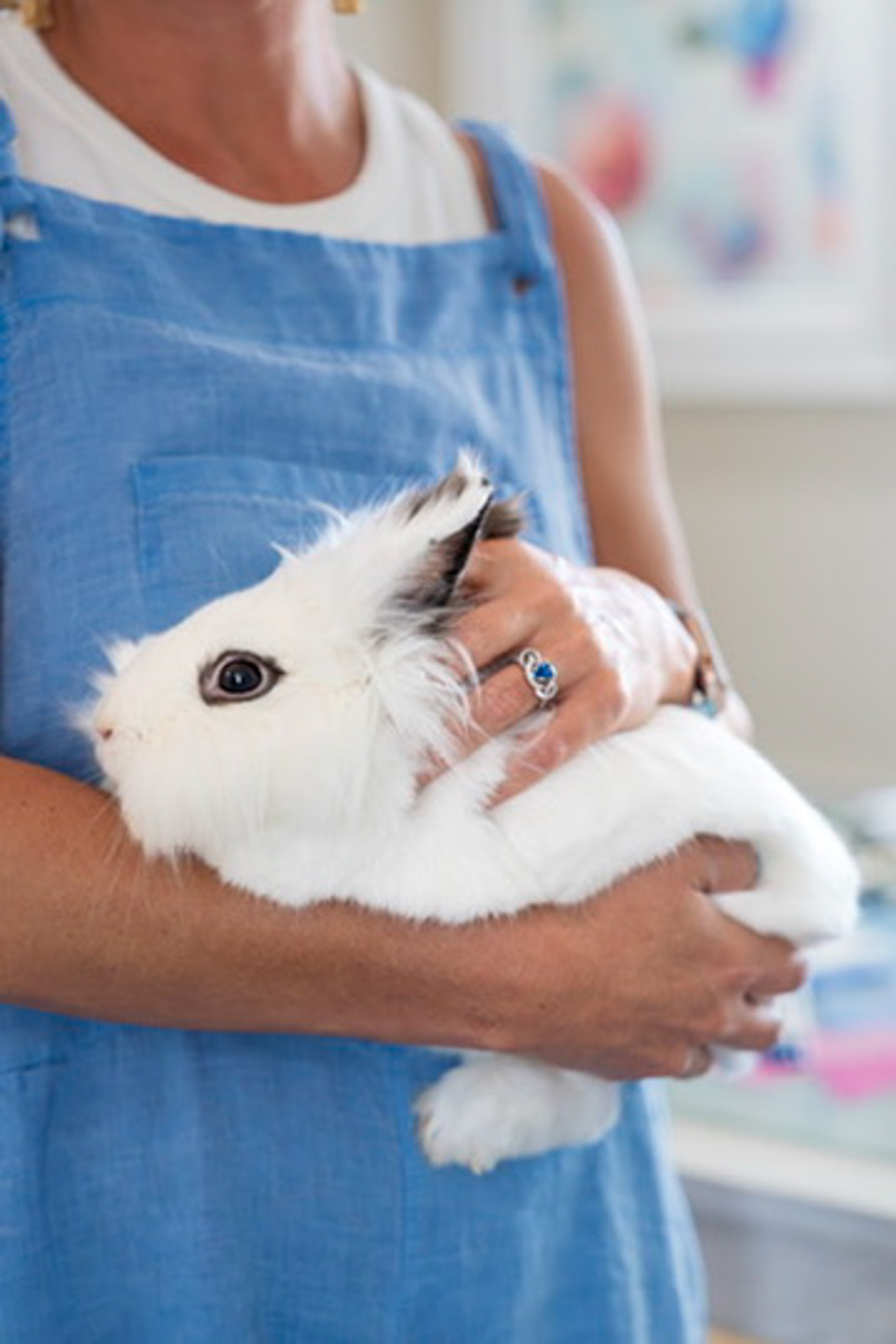 Shelby Dillon holds her pet rabbit.