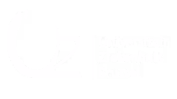 UZ brussel logo wit