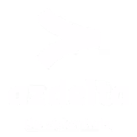 AZ Delta logo wit