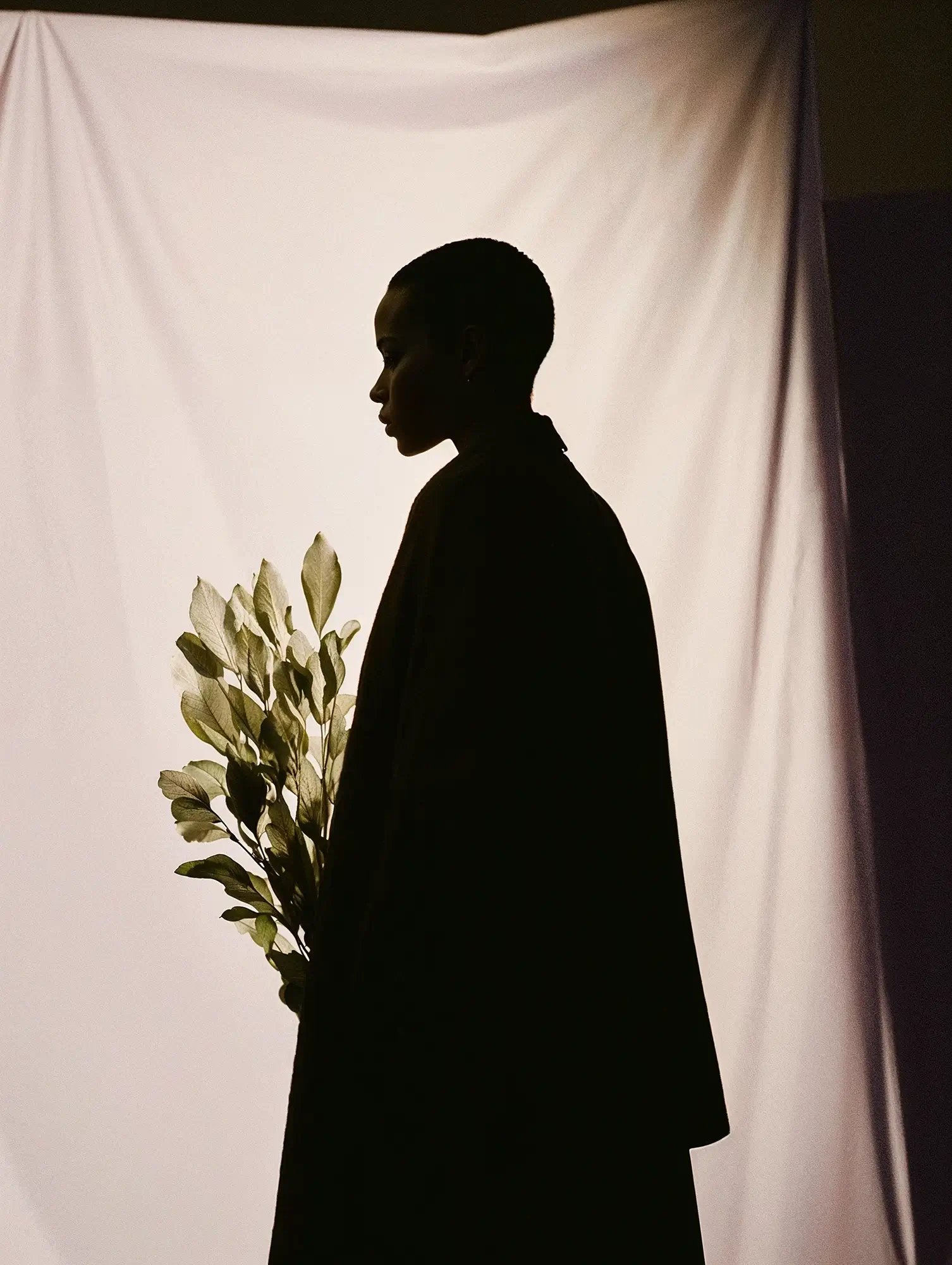 silhouette_person_white	Silhouette einer Person mit Blätterzweig vor hellem Stoffhintergrund – symbolisiert Nachhaltigkeit, emotionale Markenführung und individuelles Storytelling im digitalen Marketing.