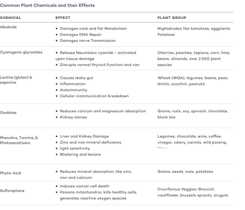 common plant toxins and their effects on humans