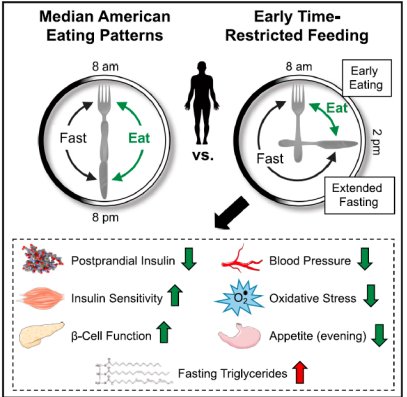 diagram of effects of fasting 