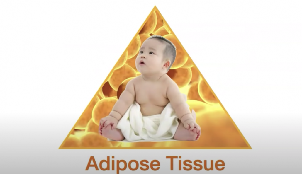 image of child over background of adipose tissue detail