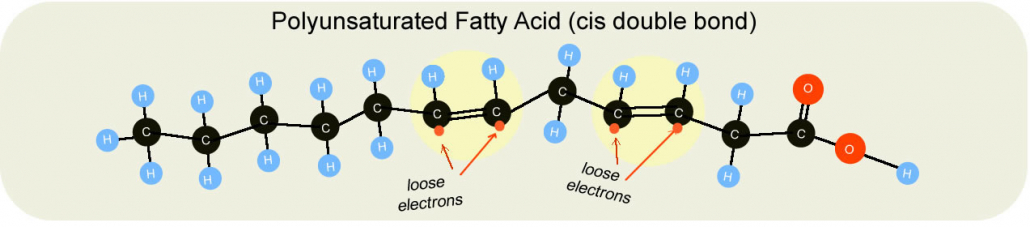 Polyunsaturated Fatty Acid