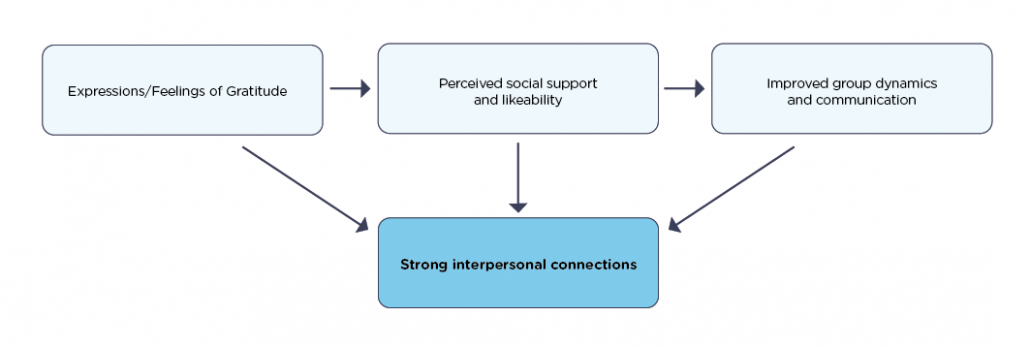 Social Connections