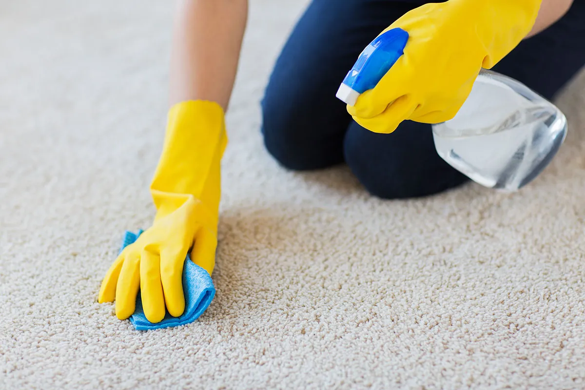 Carpet Protection Services in Utah, Salt Lake, and Davis Counties