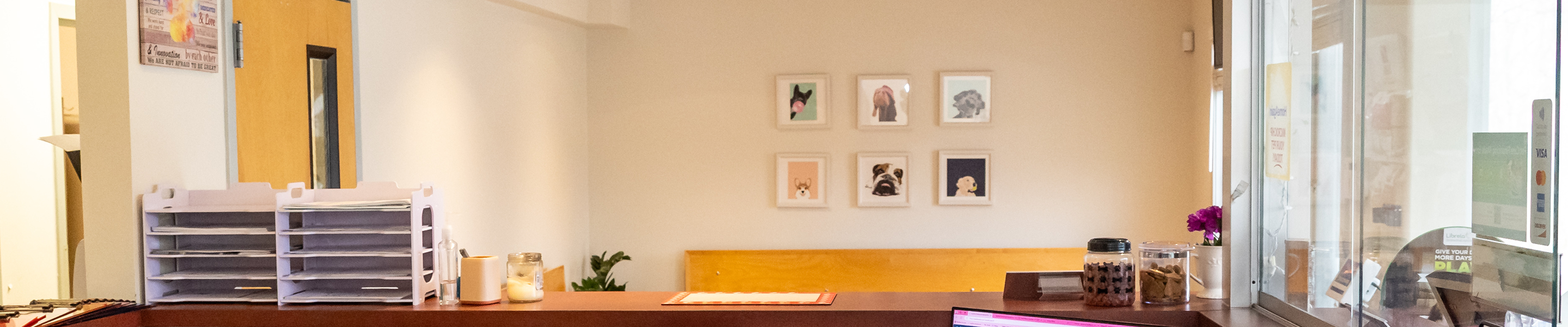 Pet Care Where Comfort Comes First