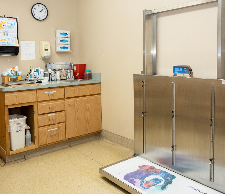 veterinary hospital exam room