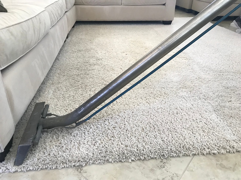 floor steamer carpet