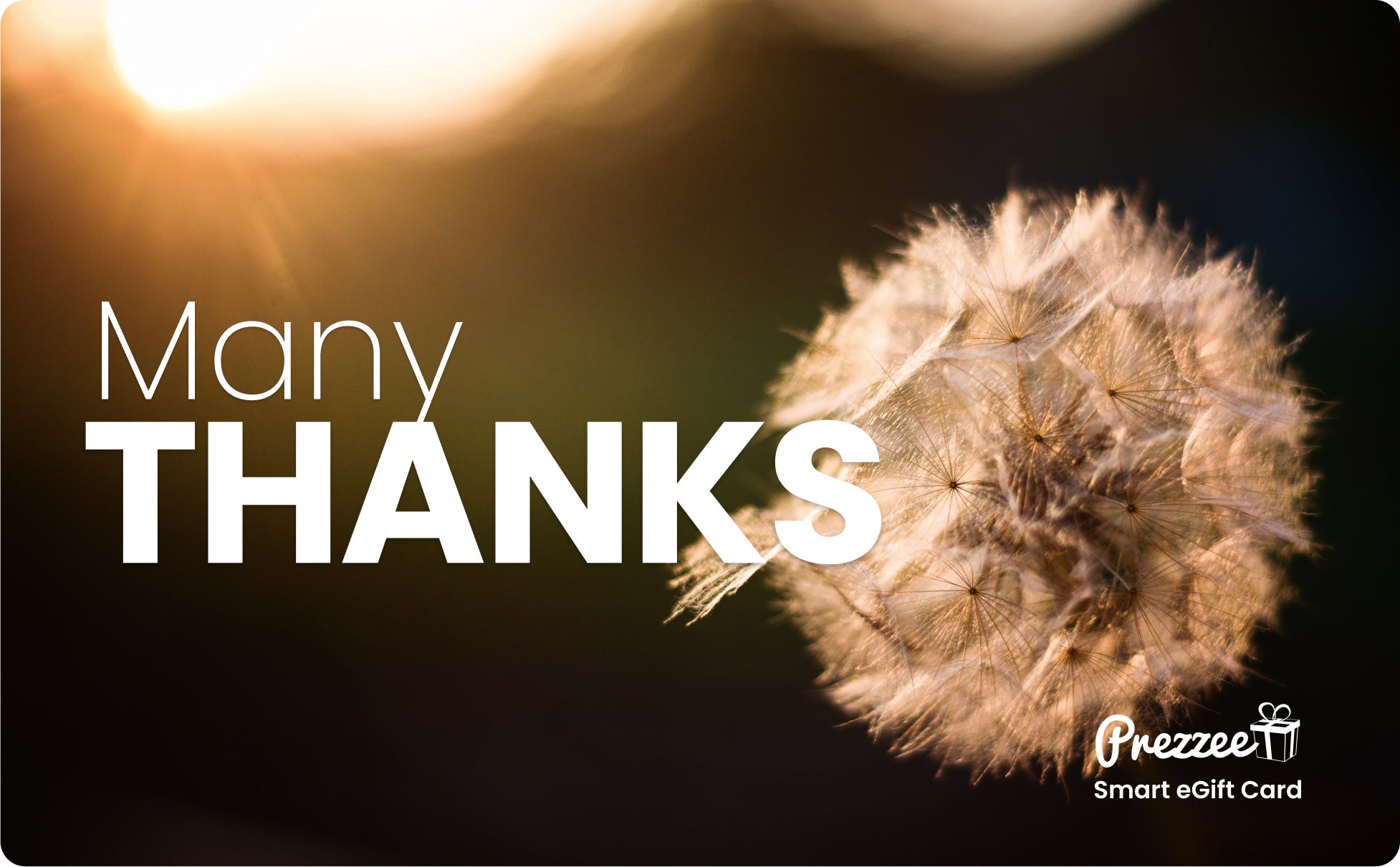 Many Thanks Smart eGift Card