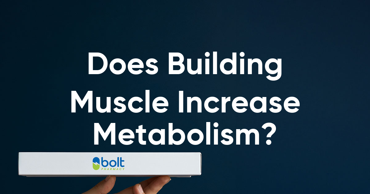 does building muscle increase metabolism