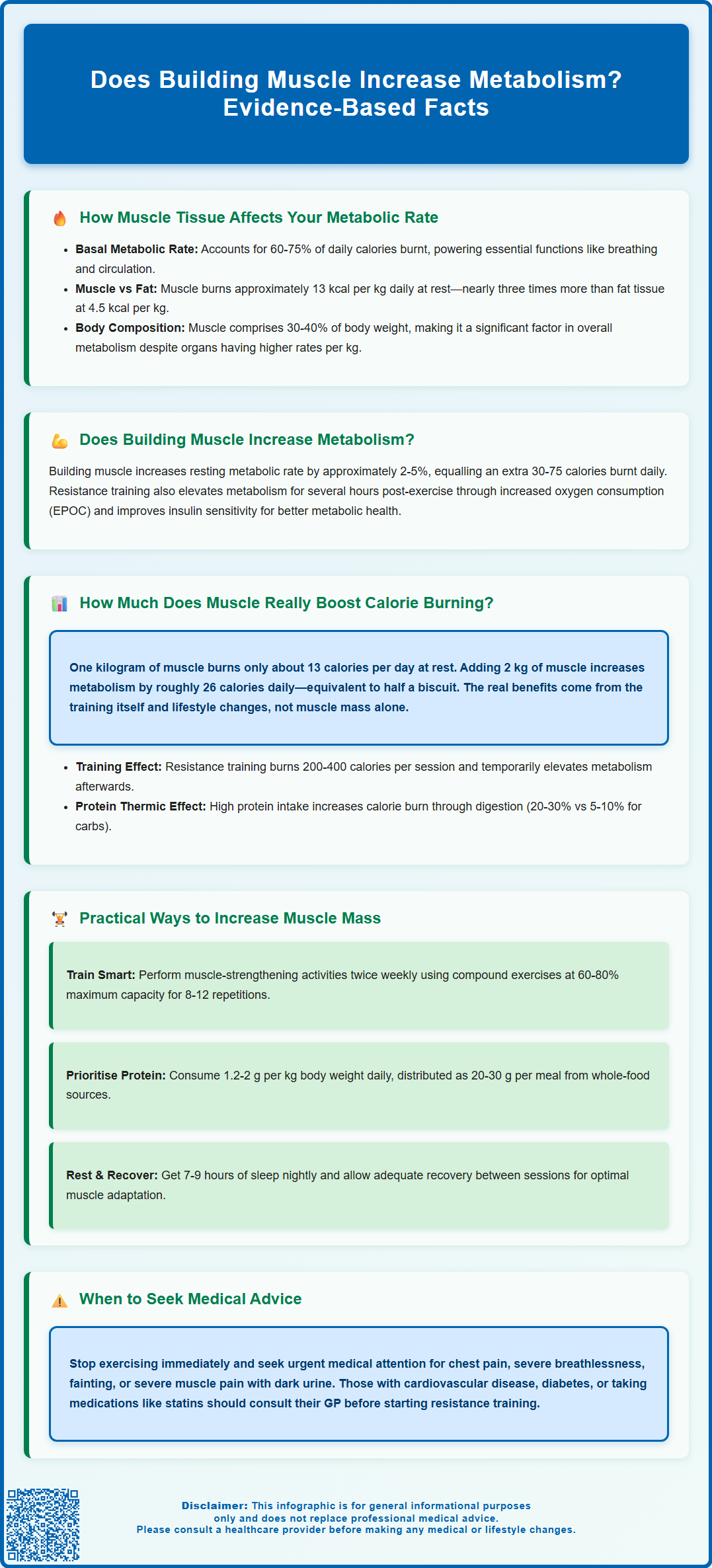 does building muscle increase metabolism