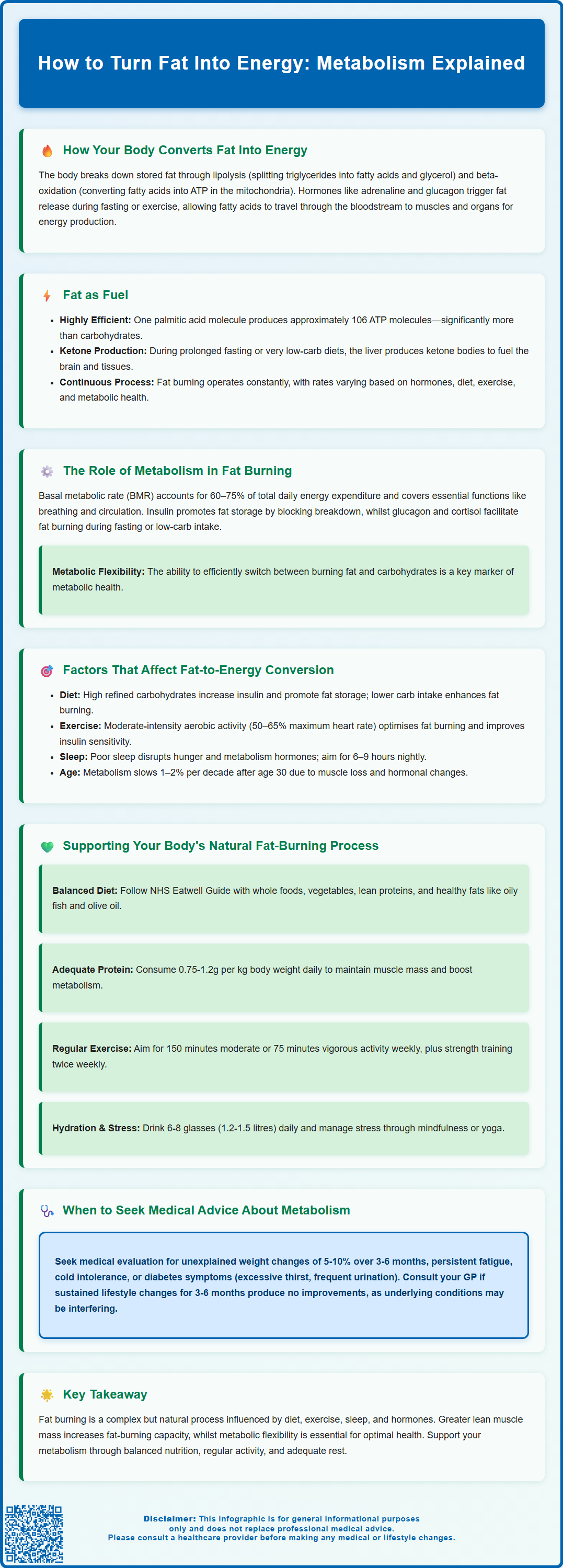 how to turn fat into energy