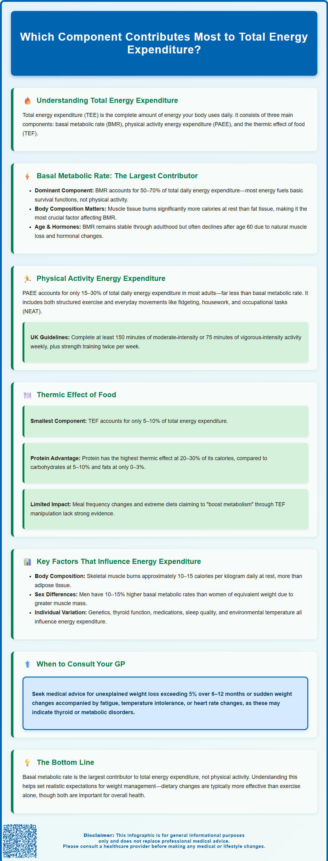 which component contributes the most to total energy expenditure