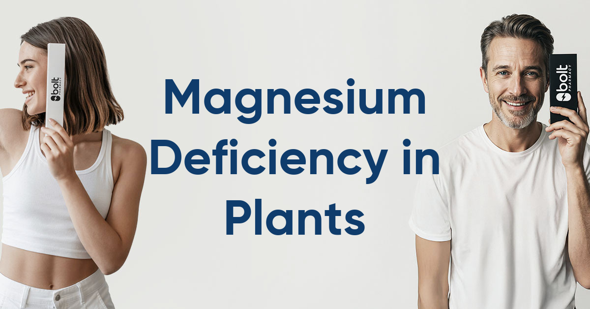 magnesium deficiency in plants
