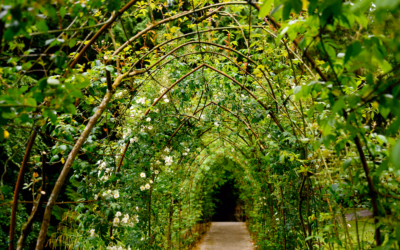 Trails and Tales Gallery Photo