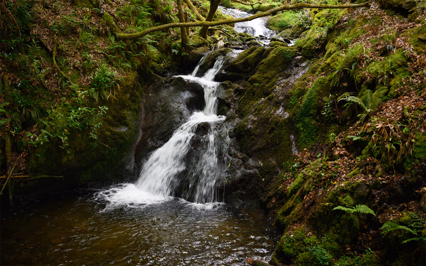Secret Waterfall