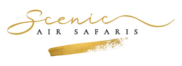 Arise Health logo