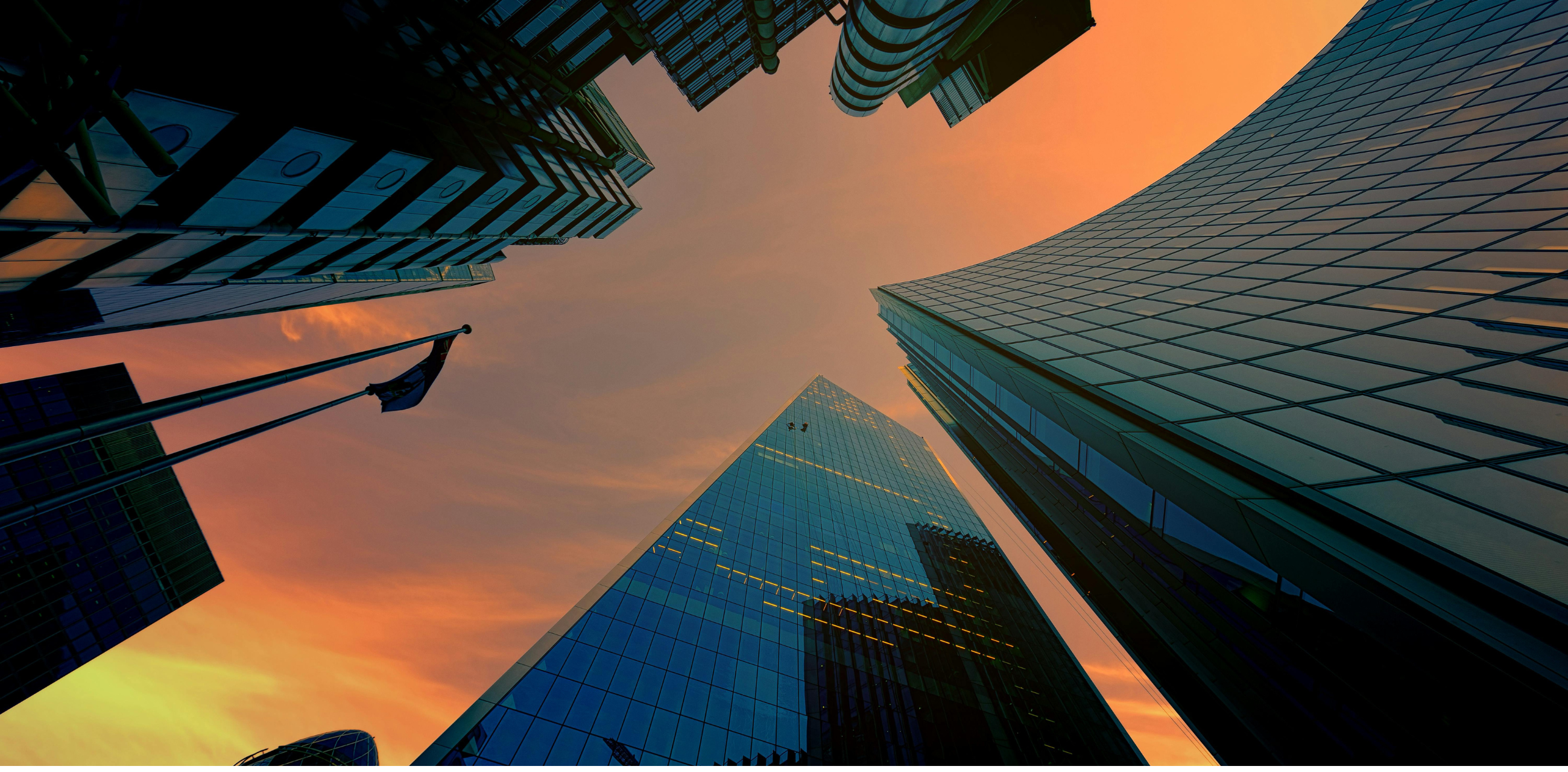 Mobility, Alternative Residency and Wealth Preservation 