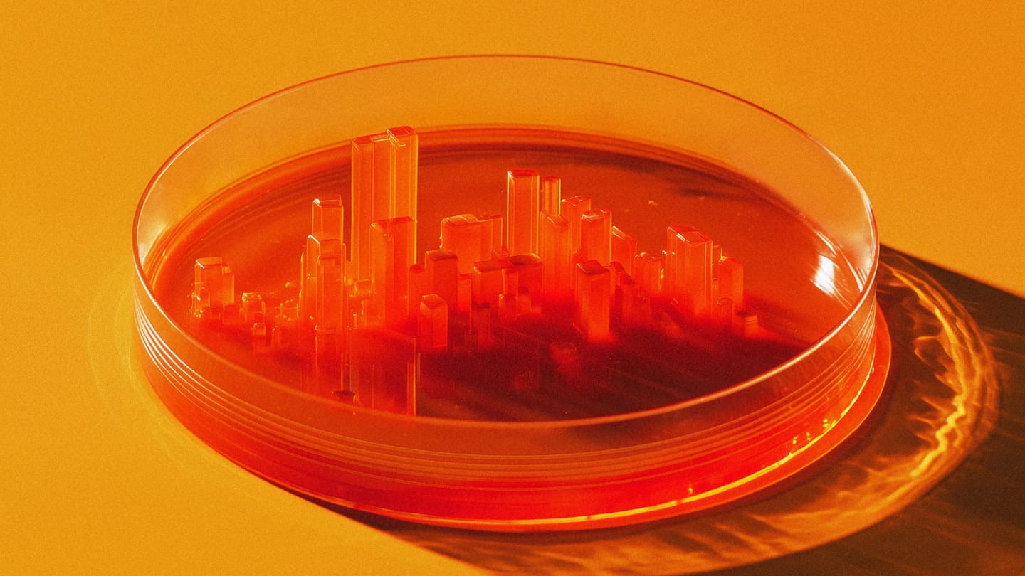 Wealth report 2024 Multipolitan