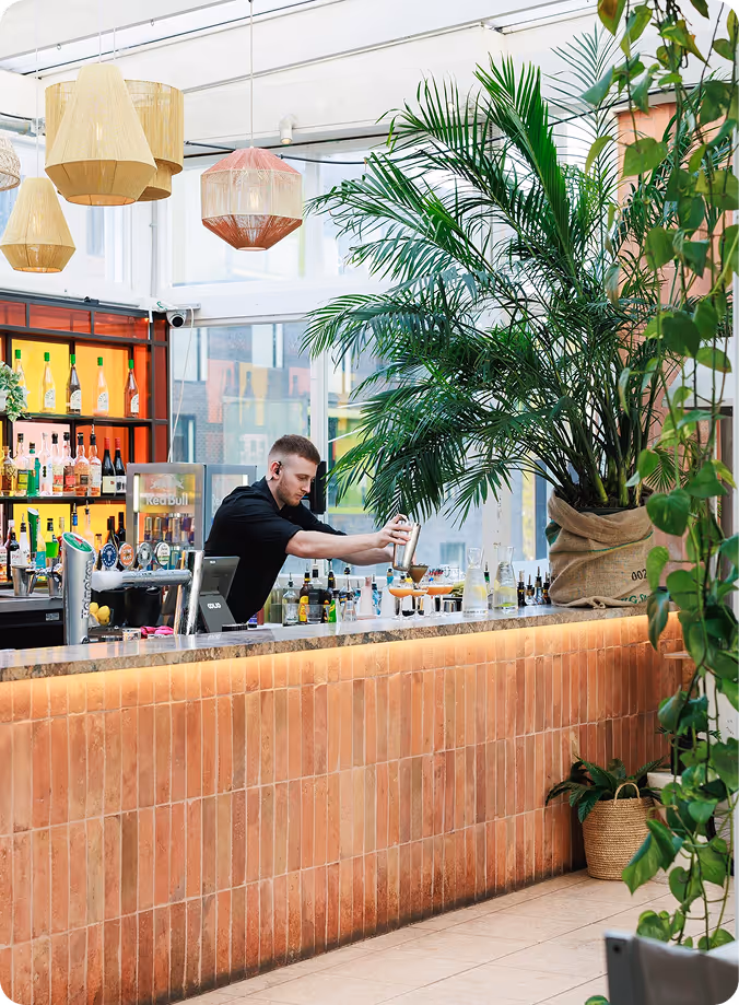 Rooftop Views Real Talk Zero Fluff