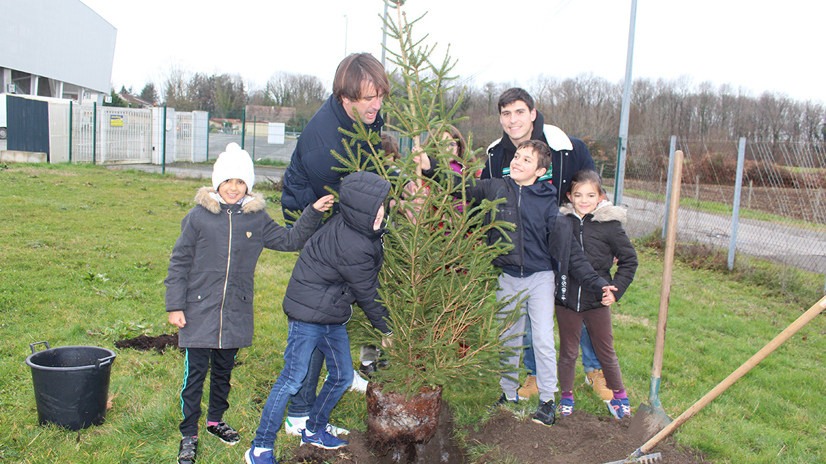 ecolo en herbe sapins 01
