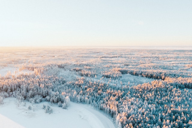 EdTech recruitment in Finland: why specialist hiring matters