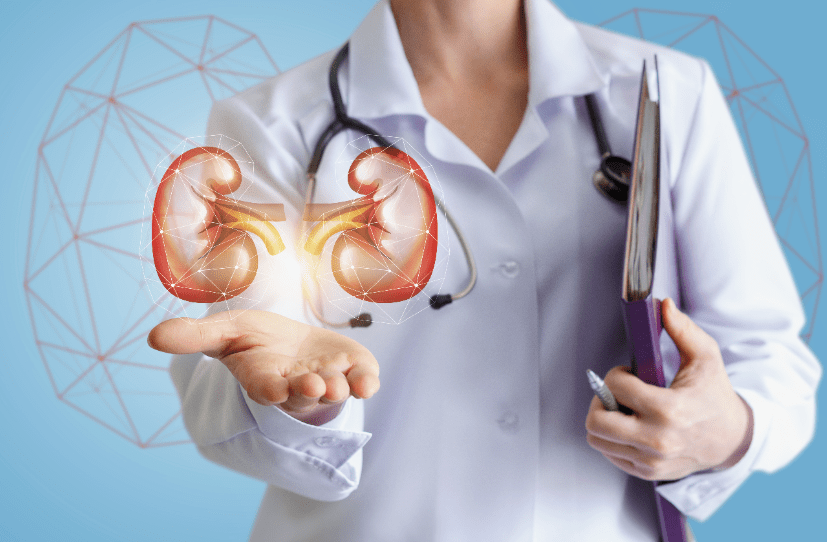 How to Improve Kidney Function in Elderly1