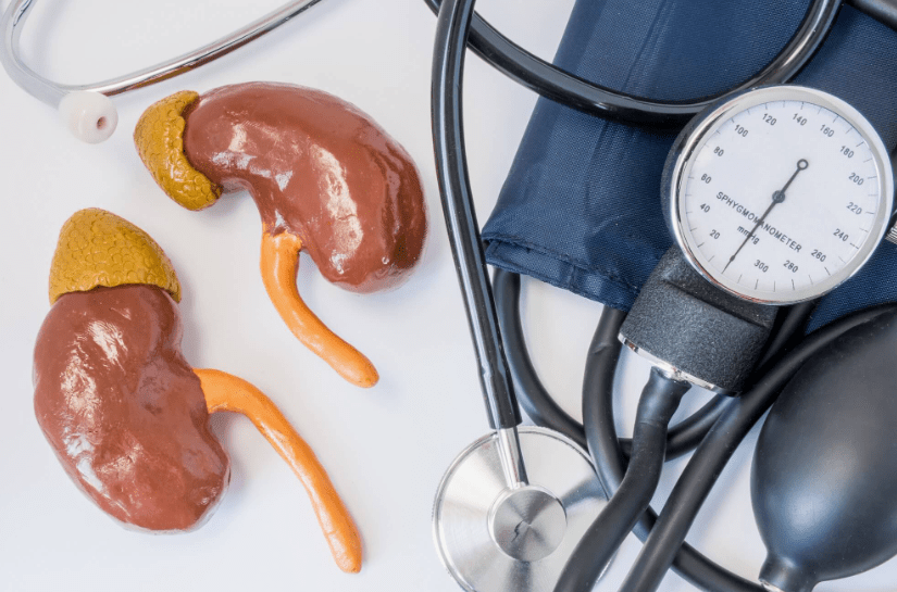 High Blood Pressure and Kidney Disease