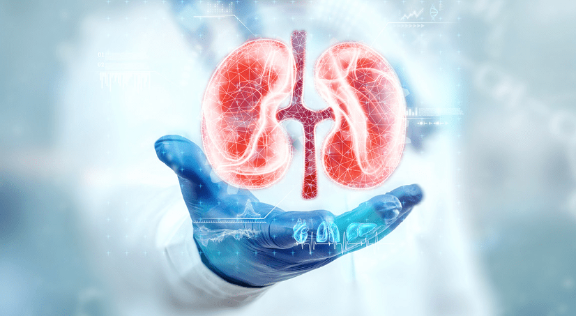 The Role of Kidney Transplant in Chronic Kidney Disease