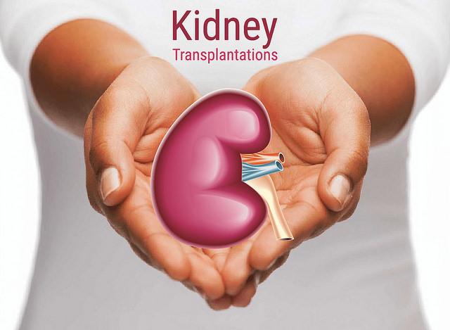 Understanding the Benefits and Risks of Kidney Transplant 1
