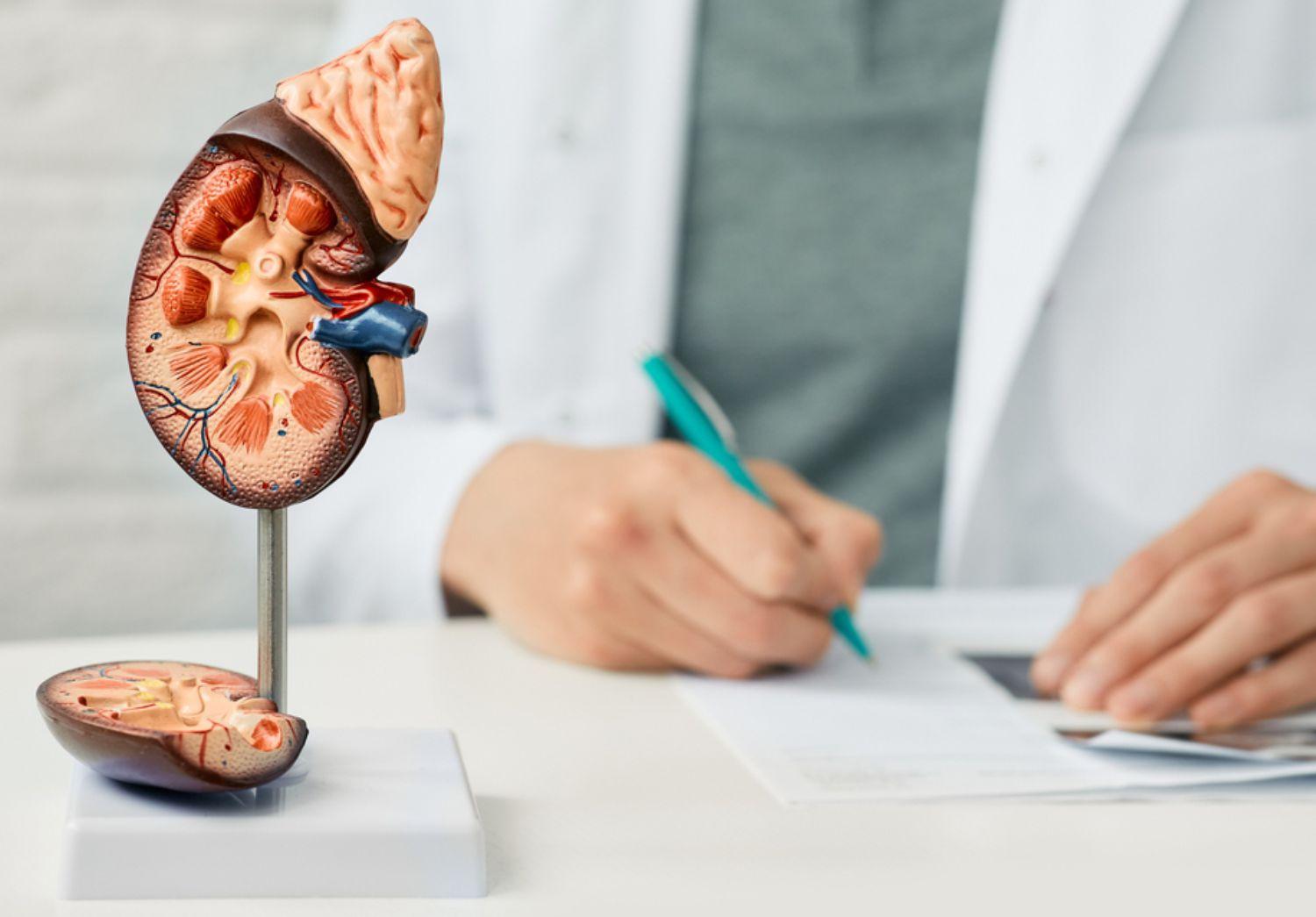Avoiding Dialysis: If You Have Kidney Disease