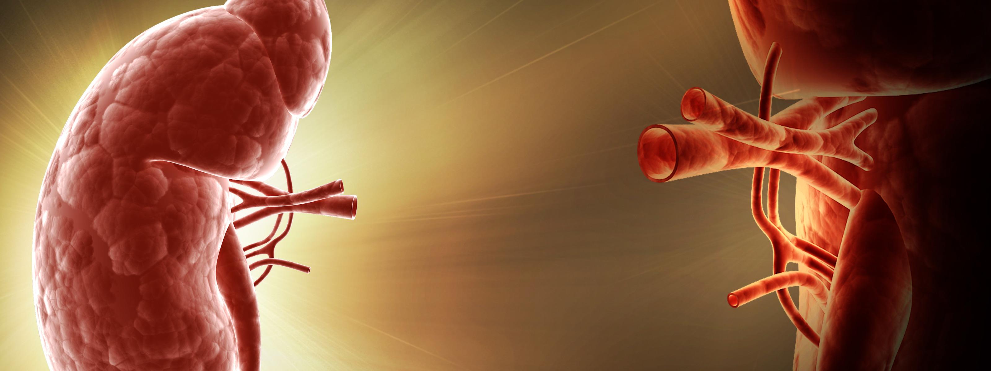 Long Term Effects of Kidney Transplant