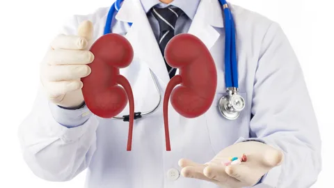 How diabetes affects the kidneys