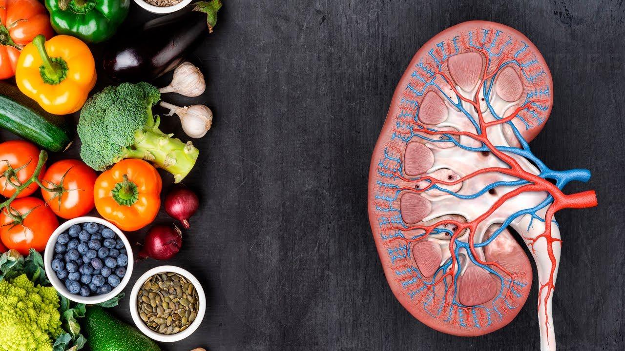 Find out the power of food for optimal kidney health