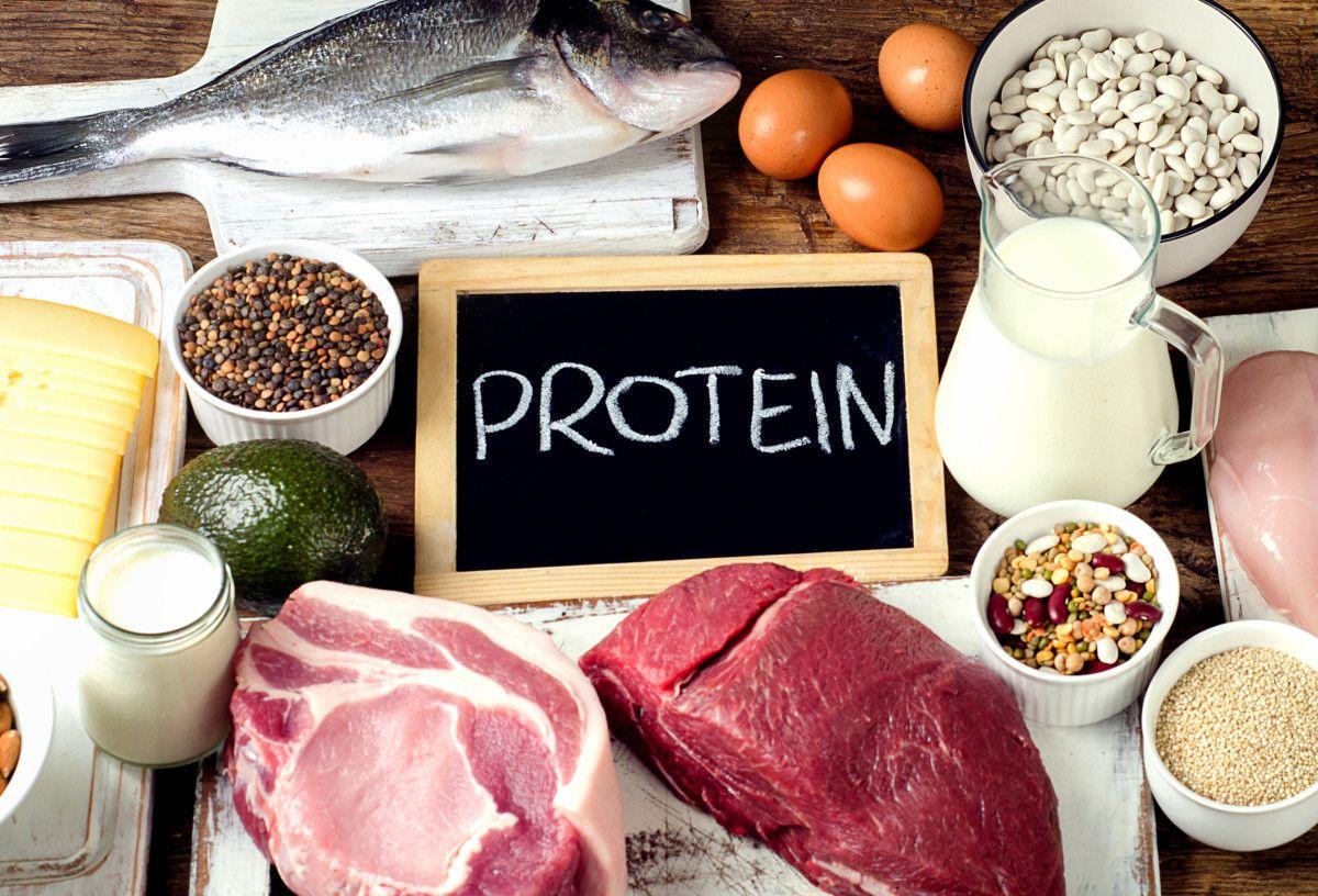 The role of protein to your kidney123
