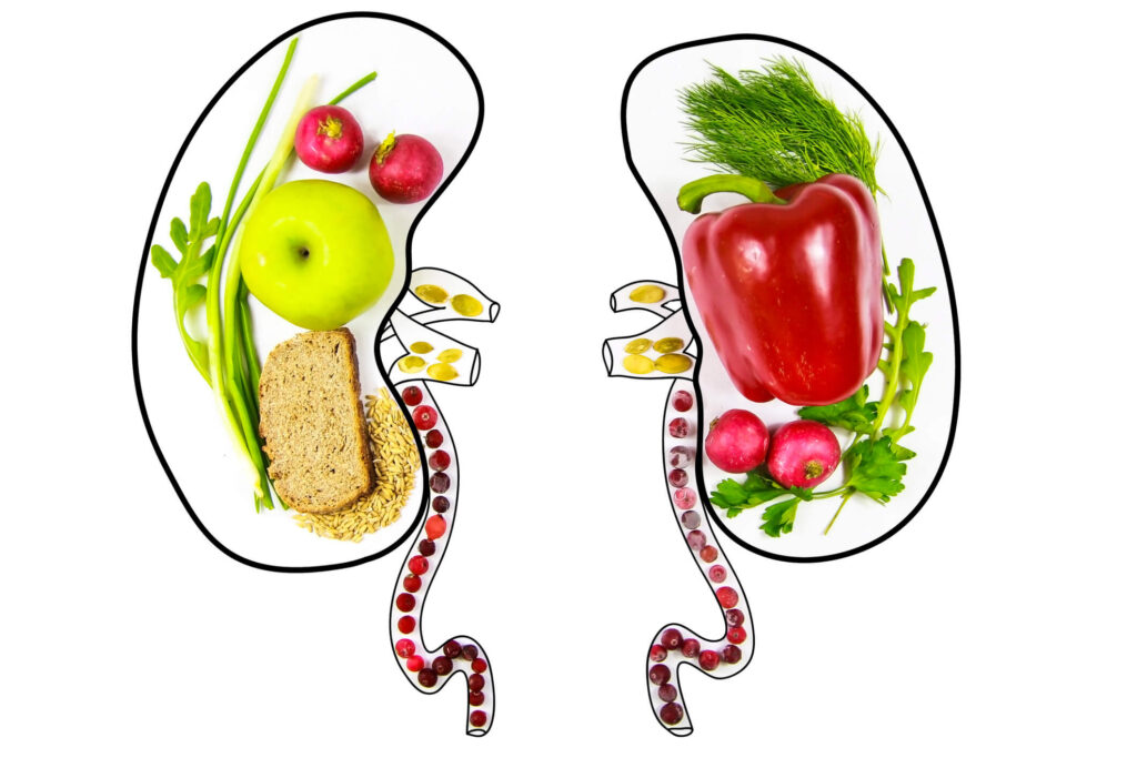 Kidney-Friendly Options to Consider