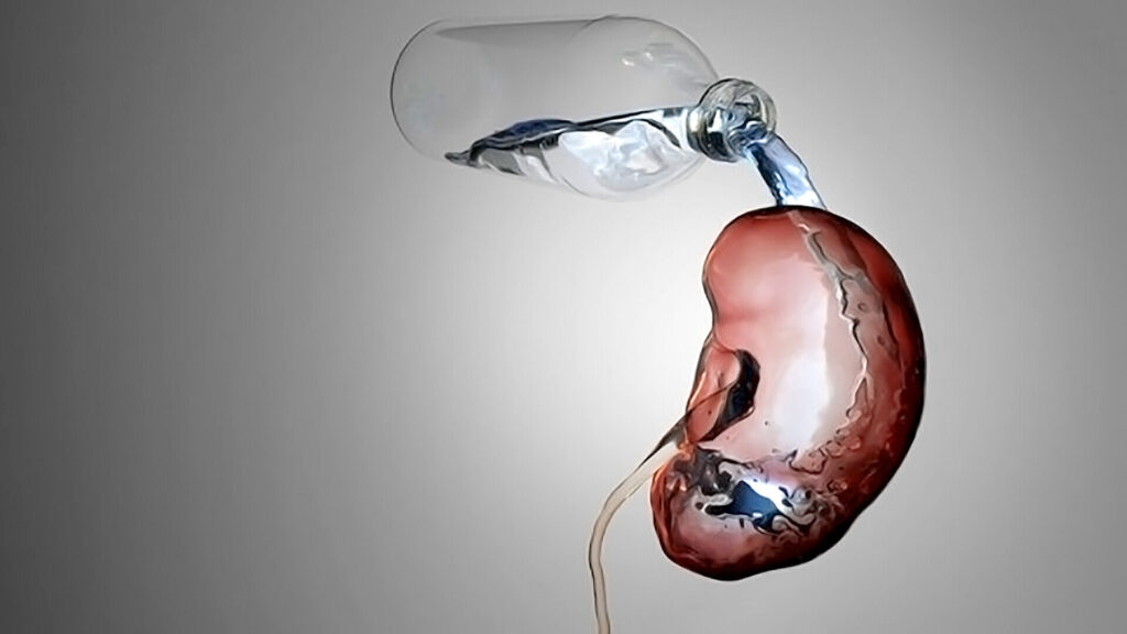 Hydration Is Key for Optimizing Kidney Function 