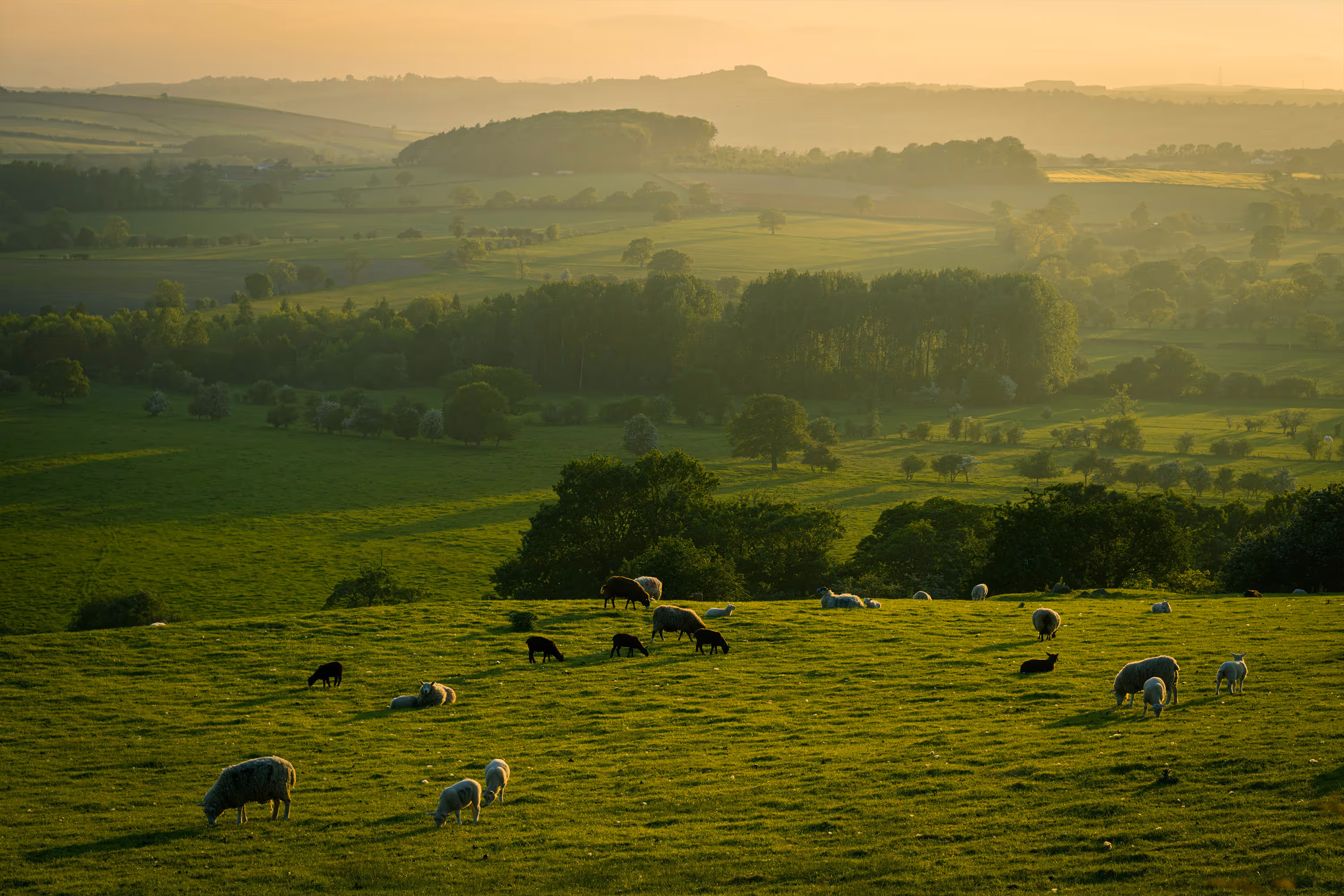 North Yorkshire Countryside