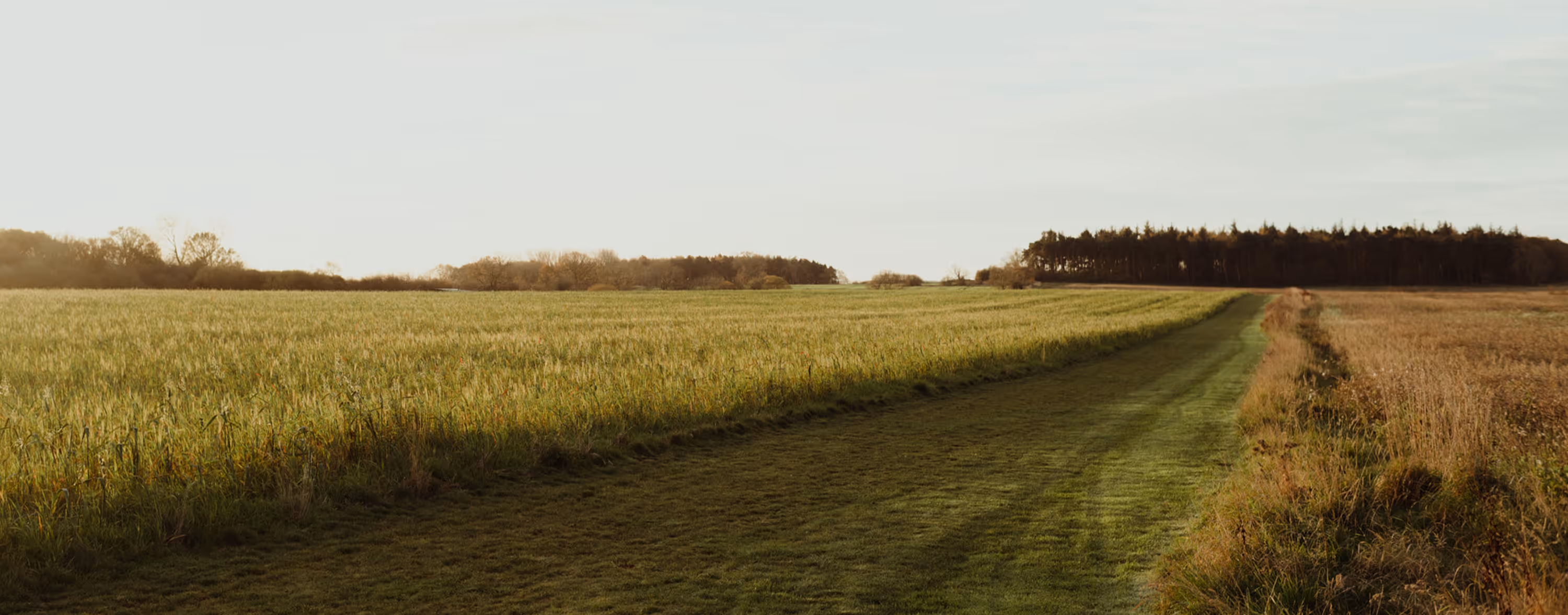 Field outside Kip & Nook