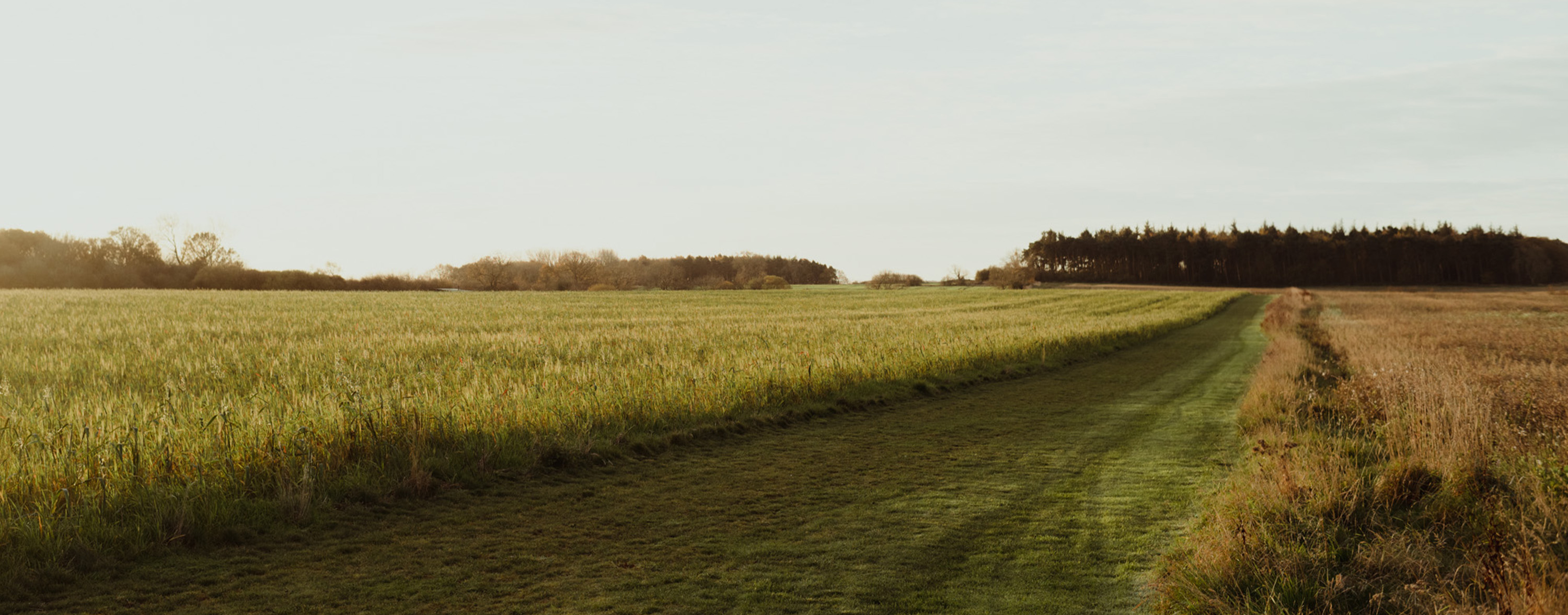 Field outside Kip & Nook