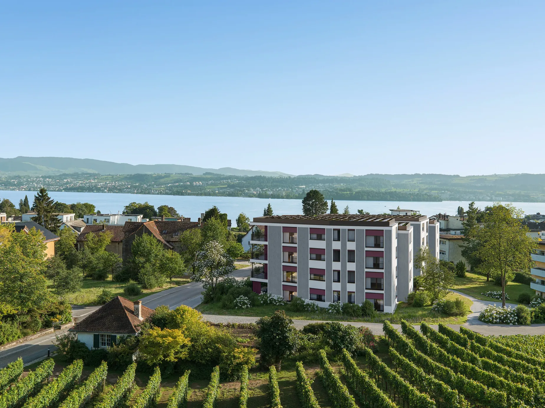 Modernes Wohngebäude neben Weinbergen mit Blick auf einen See und bewaldete Hügel im Hintergrund bei klarem Himmel.