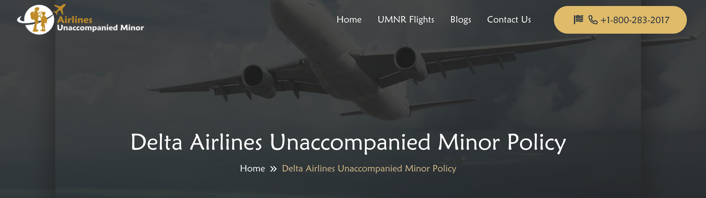 Delta Airlines Unaccompanied Minor Policy