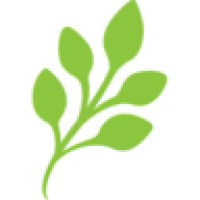 VC Associate