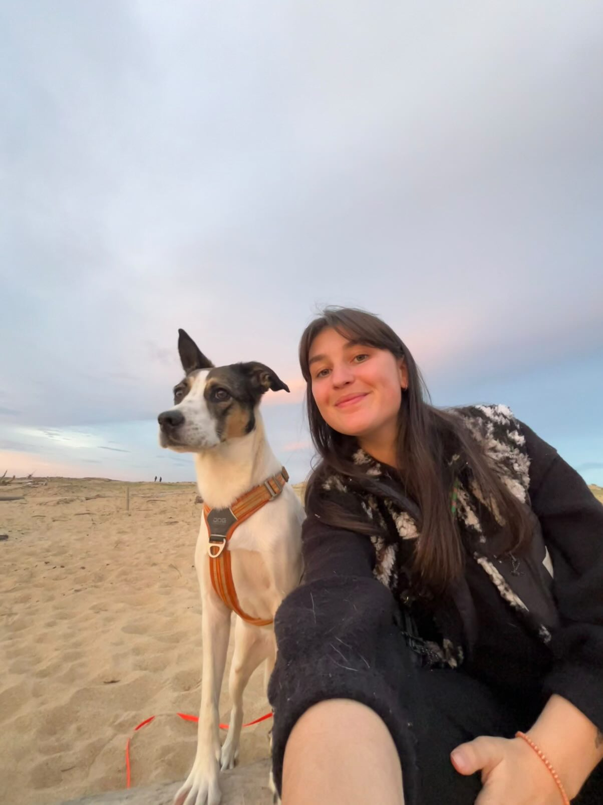 Matea petsitting - Be Woof