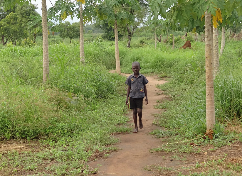 A young boy walks barefoot along a dirt path through tall green grass and trees.