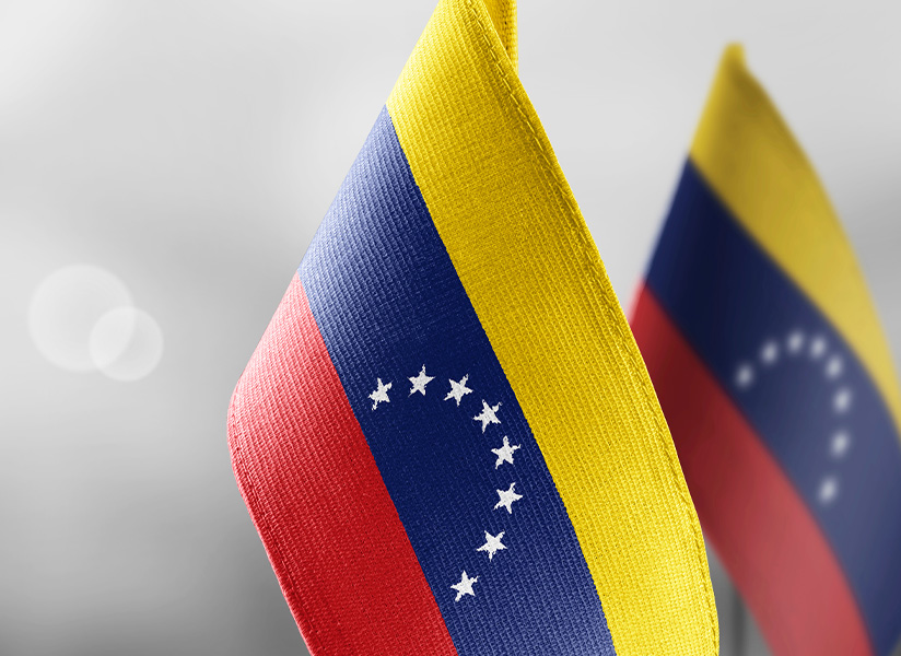 Two small Venezuelan flags stand against a soft gray background.
