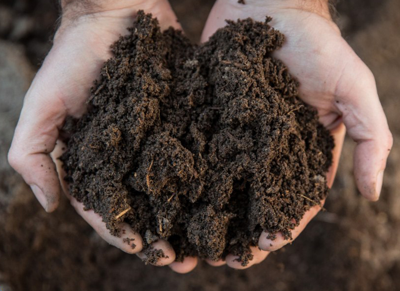 Close-up of cupped hands holding rich, dark soil.
